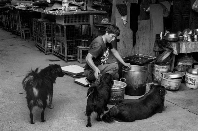 20191223_103808_011.jpg 20191223_103808_011.jpg