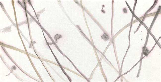 ba35716bc82f499e91cb9510202907d2.jpg ba35716bc82f499e91cb9510202907d2.jpg