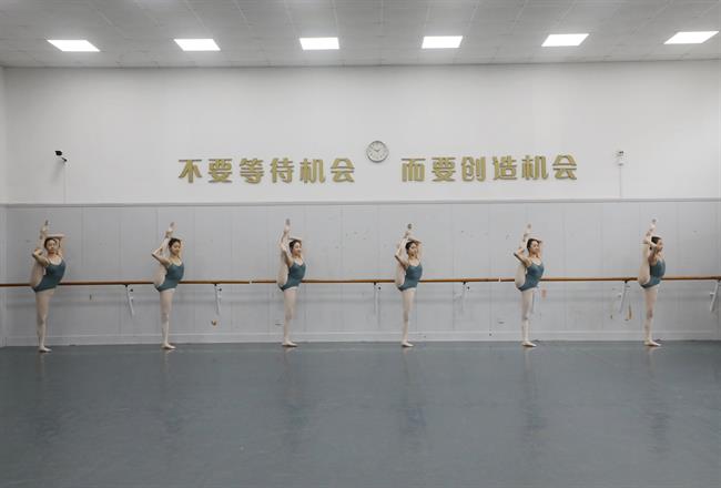 3B6A8849_副本.jpg 3B6A8849_副本.jpg