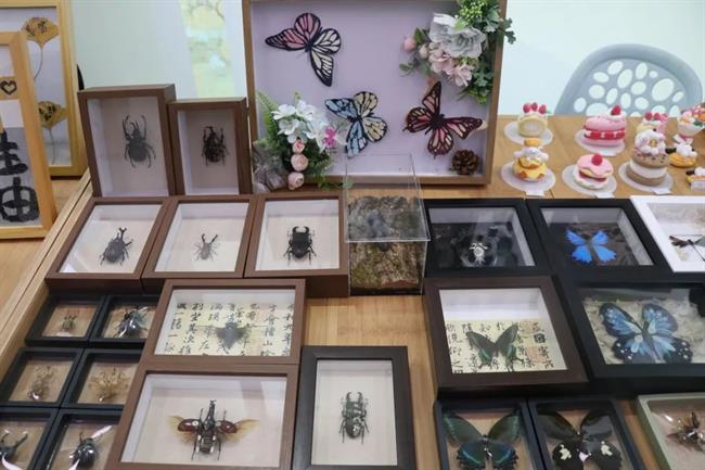 图片6.png 图片6.png